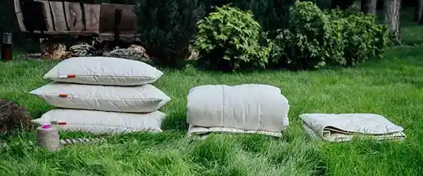 pillows1.jpg